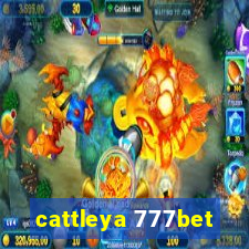 cattleya 777bet